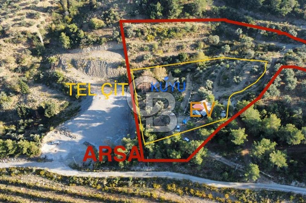 İZMİR KEMALPAŞA ÖREN'DE SATILIK 9392M2 ZEYTİNLİK VE HAZIR YAŞAM ALANI