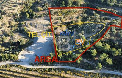 İZMİR KEMALPAŞA ÖREN'DE SATILIK 9392M2 ZEYTİNLİK VE HAZIR YAŞAM ALANI