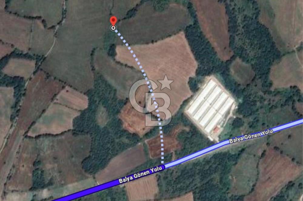 BALIKESİR BALYA ORHANLARDA 3.005 M² FIRSAT SATILIK TARLA