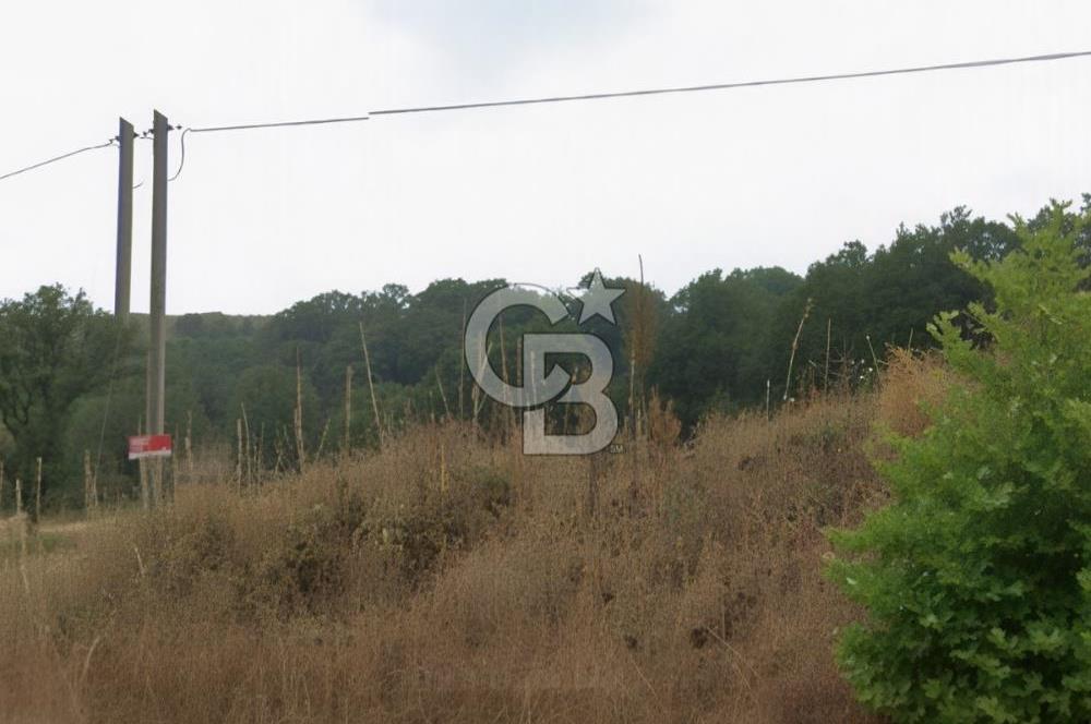 BALIKESİR KARESİ ARMUTALAN'DA 4561 M2 SATILIK TARLA