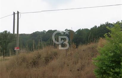 BALIKESİR KARESİ ARMUTALAN'DA 4561 M2 SATILIK TARLA