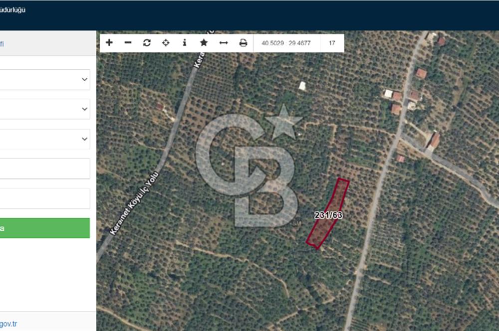BURSA ORHANGAZİ KERAMET SATILIK GÖL MANZARALI 2112 M2 ZEYTİNLİK