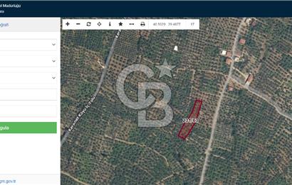 BURSA ORHANGAZİ KERAMET SATILIK GÖL MANZARALI 2112 M2 ZEYTİNLİK