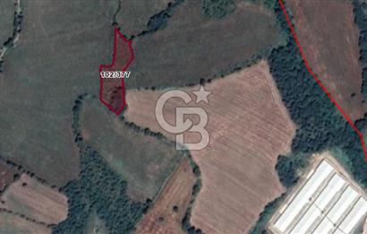 BALIKESİR BALYA ORHANLARDA 3.005 M² FIRSAT SATILIK TARLA