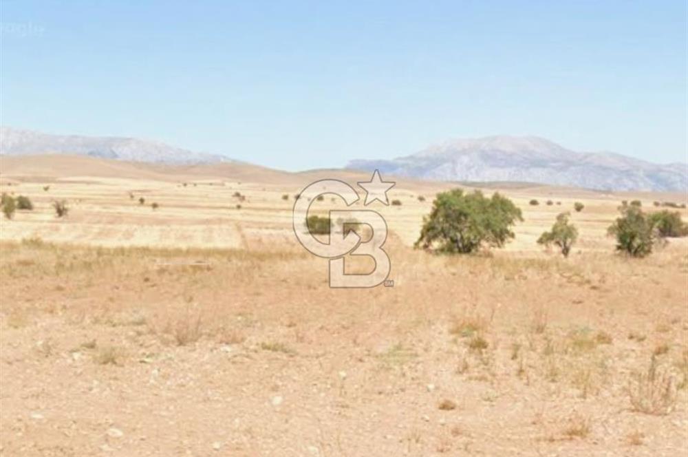 DENİZLİ ÇİVRİL BOZDAĞ'DA 2000 M2 FIRSAT SATILIK TARLA