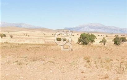 DENİZLİ ÇİVRİL BOZDAĞ' DA YATIRIMLIK 11.000 M2 SATILIK TARLA