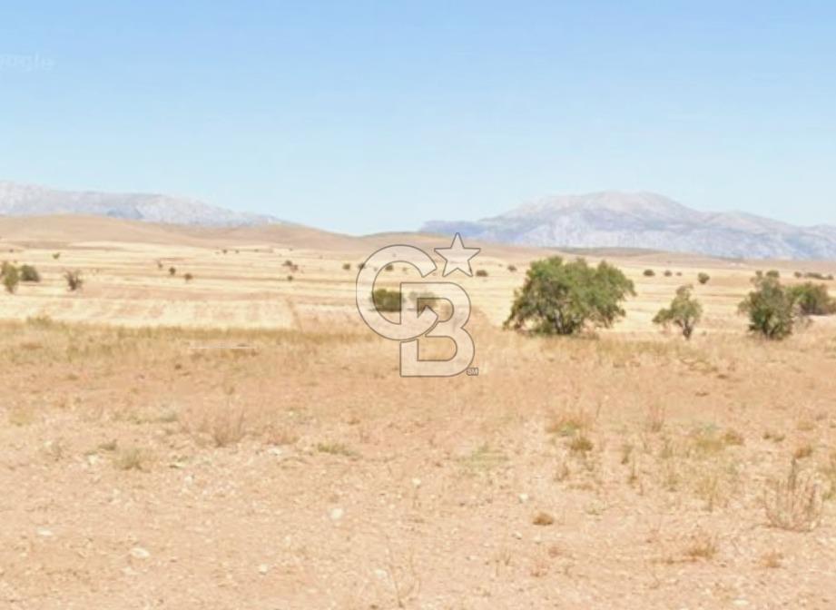 DENİZLİ ÇİVRİL BOZDAĞ' DA YATIRIMLIK 11.000 M2 SATILIK TARLA
