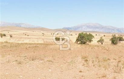 DENİZLİ ÇİVRİL BOZDAĞ' DA YATIRIMLIK 11.000 M2 SATILIK TARLA