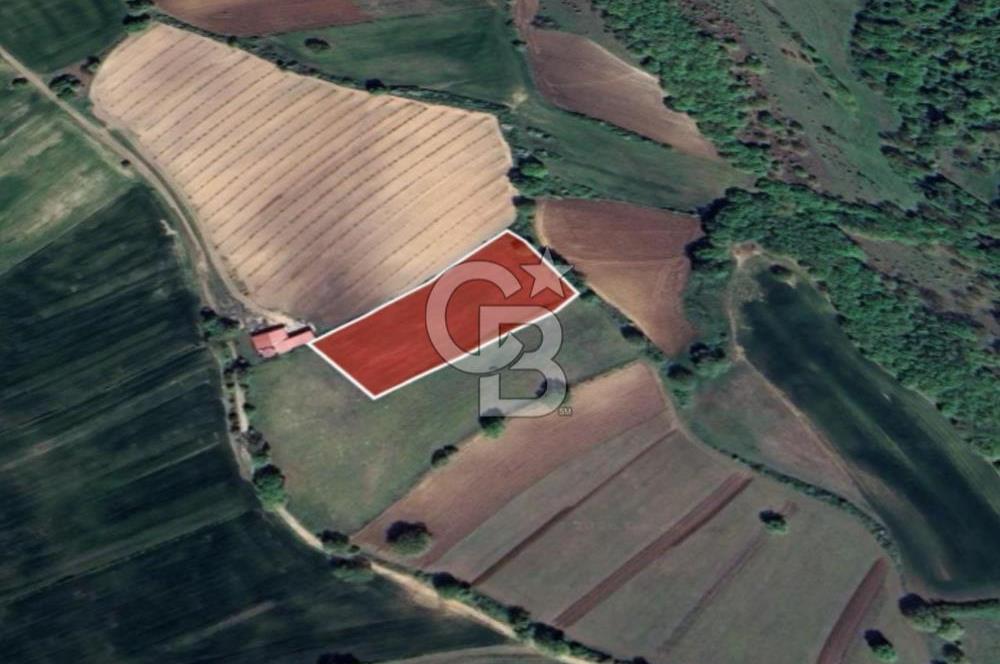 BALIKESİR KARESİ ARMUTALAN'DA 4561 M2 SATILIK TARLA