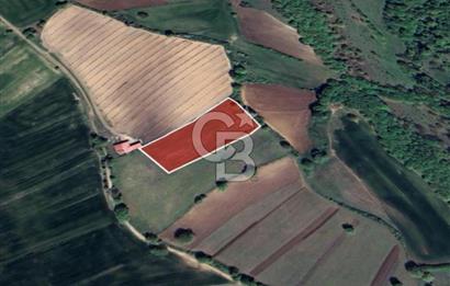 BALIKESİR KARESİ ARMUTALAN'DA 4561 M2 SATILIK TARLA