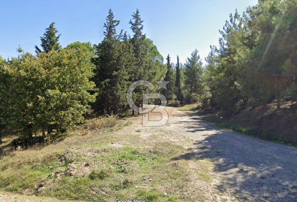 BALIKESİR BALYA DEREKÖY 9520 M2 SATILIK TARLA