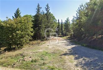 BALIKESİR BALYA DEREKÖY 9520 M2 SATILIK TARLA - 4 - 359083