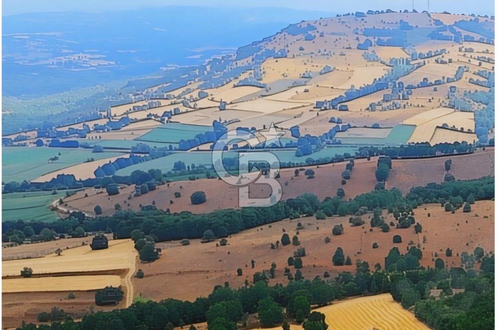 BALIKESİR KARESİ ARMUTALAN'DA 4561 M2 SATILIK TARLA