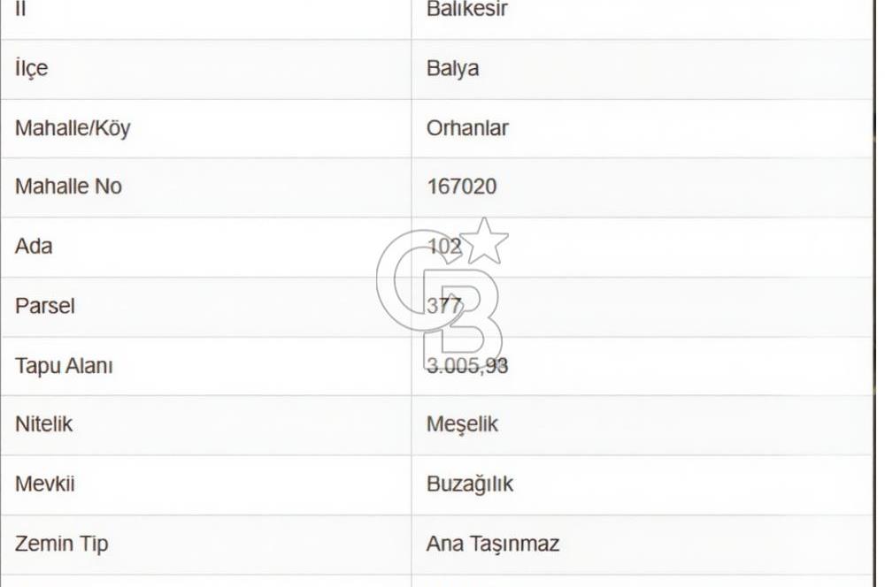 BALIKESİR BALYA ORHANLARDA 3.005 M² FIRSAT SATILIK TARLA