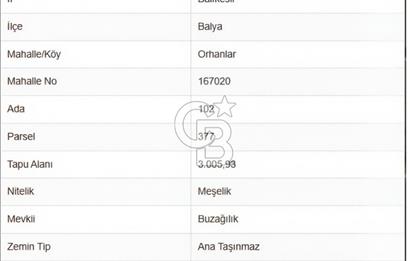 BALIKESİR BALYA ORHANLARDA 3.005 M² FIRSAT SATILIK TARLA