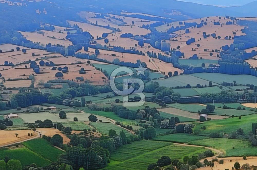 BALIKESİR KARESİ ARMUTALAN'DA 4561 M2 SATILIK TARLA