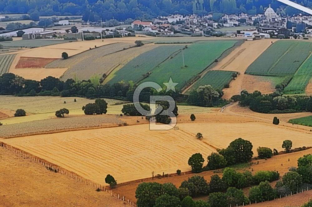 BALIKESİR KARESİ ARMUTALAN'DA 4561 M2 SATILIK TARLA