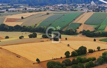 BALIKESİR KARESİ ARMUTALAN'DA 4561 M2 SATILIK TARLA