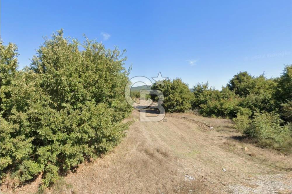 BALIKESİR BALYA DEREKÖY 9520 M2 SATILIK TARLA