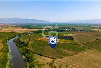 Foça Gerenköy'de Satılık Tarla - 2 - 359096