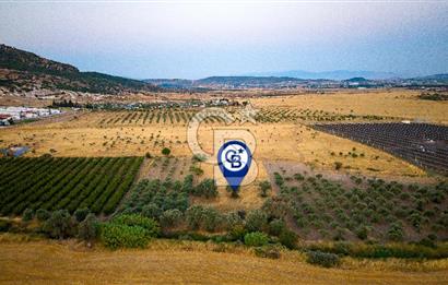 Foça Kocamehmetler'de Satılık Müstakil Tarla