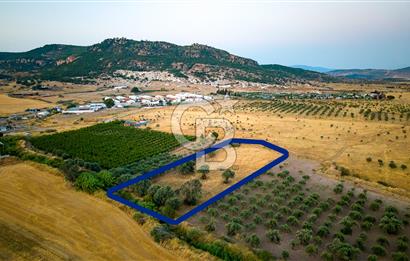Foça Kocamehmetler'de Satılık Müstakil Tarla