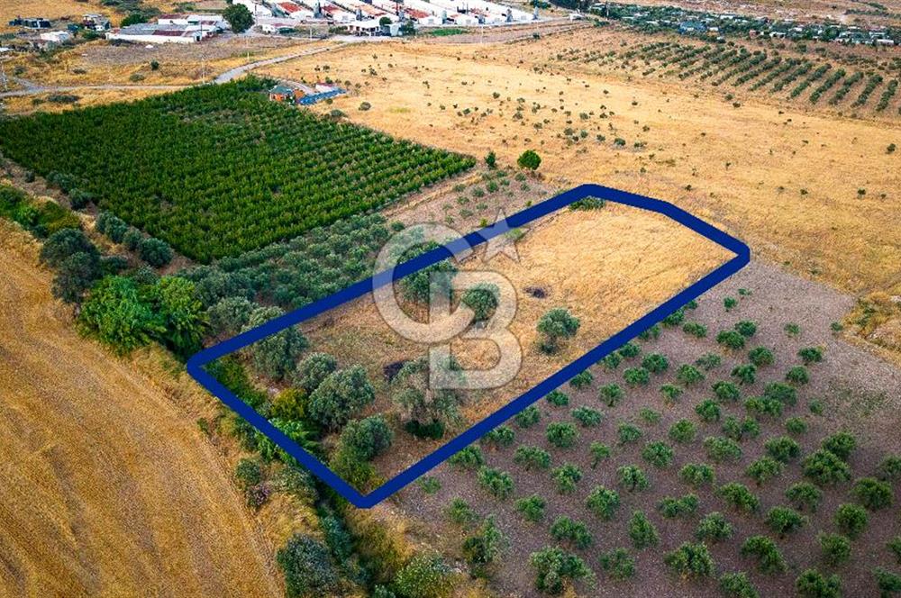 Foça Kocamehmetler'de Satılık Müstakil Tarla