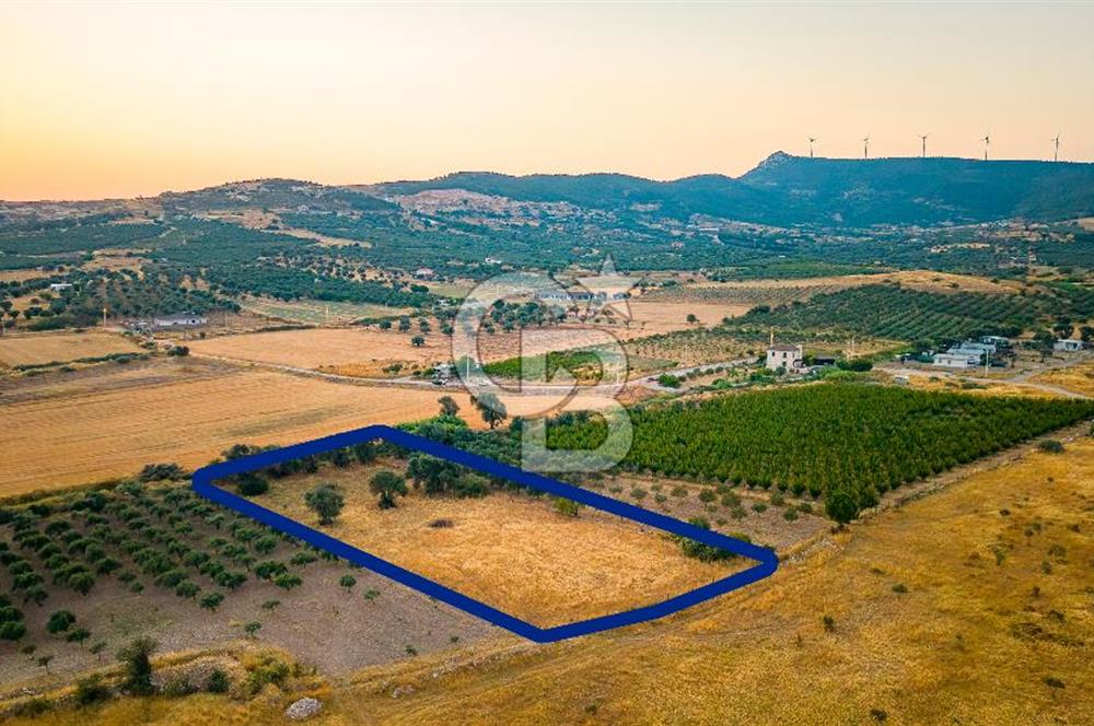 Foça Kocamehmetler'de Satılık Müstakil Tarla