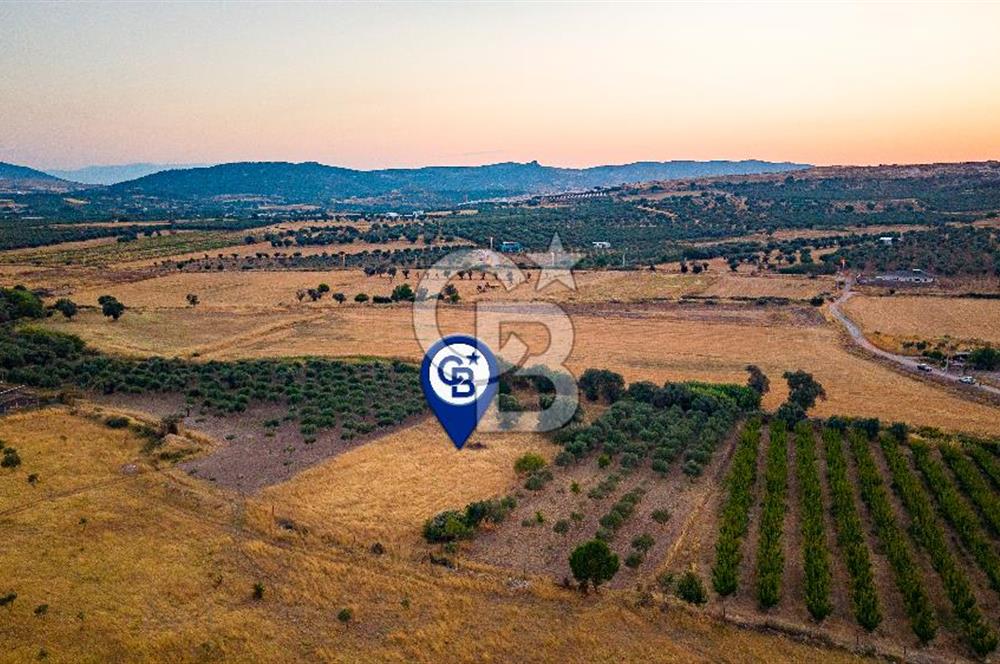 Foça Kocamehmetler'de Satılık Müstakil Tarla