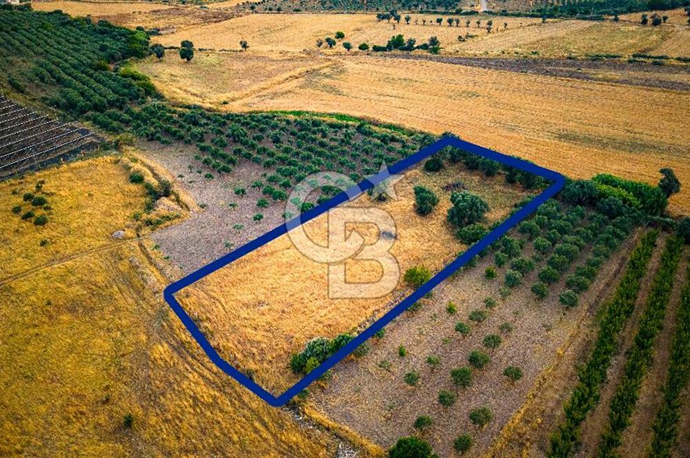 Foça Kocamehmetler'de Satılık Müstakil Tarla