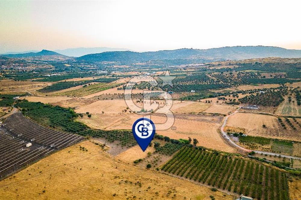 Foça Kocamehmetler'de Satılık Müstakil Tarla