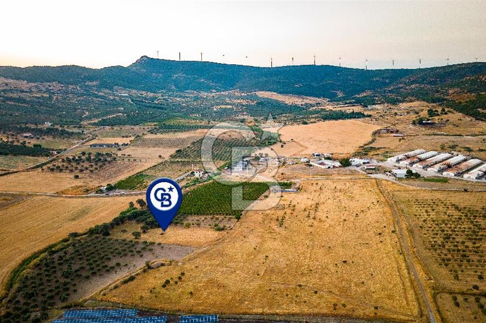 Foça Kocamehmetler'de Satılık Müstakil Tarla