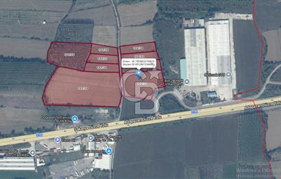AKYAZI'DA KUZEY MARMARA'YA 1KM 3902M2 YATIRIMLIK SATILIK TARLA