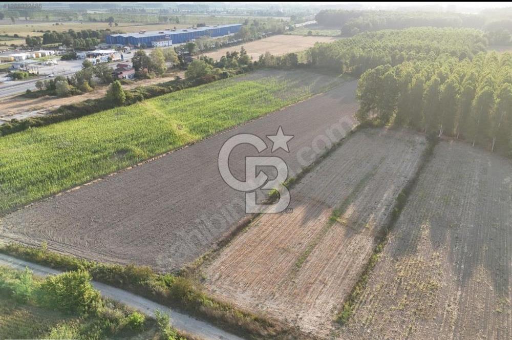 AKYAZI'DA KUZEY MARMARA'YA 1KM 3902M2 YATIRIMLIK SATILIK TARLA