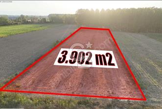 AKYAZI'DA KUZEY MARMARA'YA 1KM 3902M2 YATIRIMLIK SATILIK TARLA - 1 - 359099