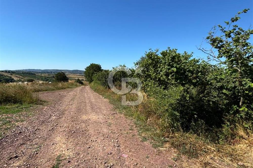 KANDIRA ÜĞÜMCEDE KONUM VE ŞEKLİYLE MÜKEMMEL 5838M2 SATILIK TARLA