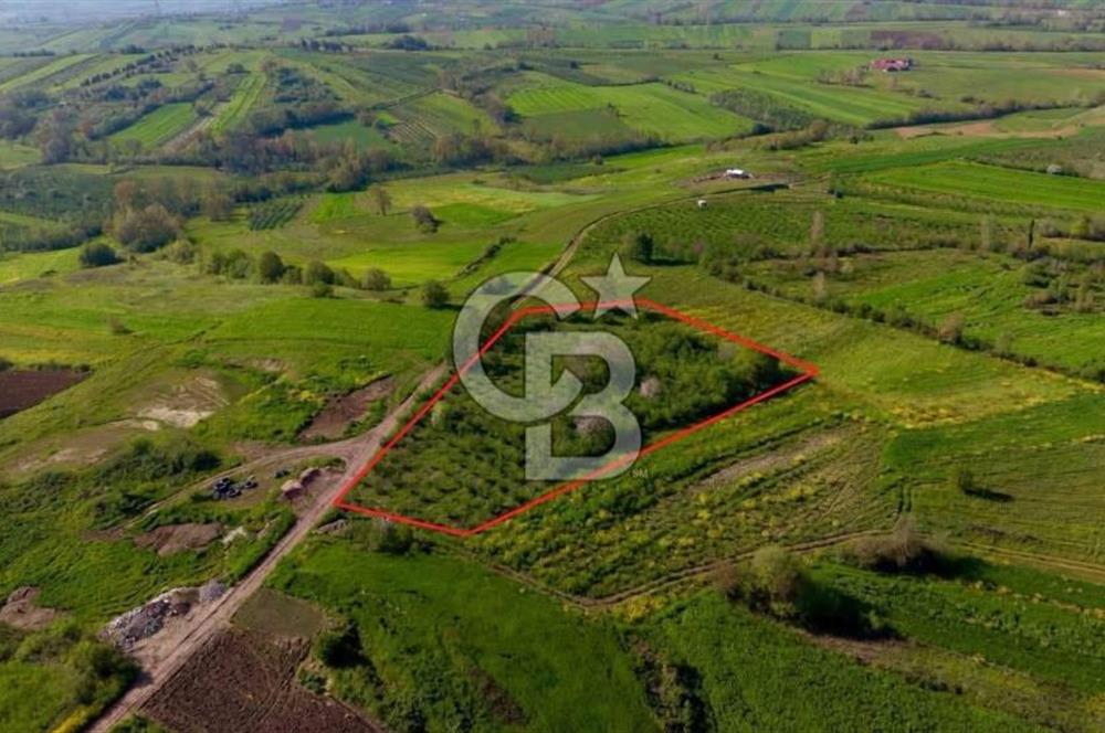 KANDIRA ÜĞÜMCEDE KONUM VE ŞEKLİYLE MÜKEMMEL 5838M2 SATILIK TARLA