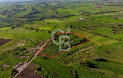 KANDIRA ÜĞÜMCEDE KONUM VE ŞEKLİYLE MÜKEMMEL 5838M2 SATILIK TARLA