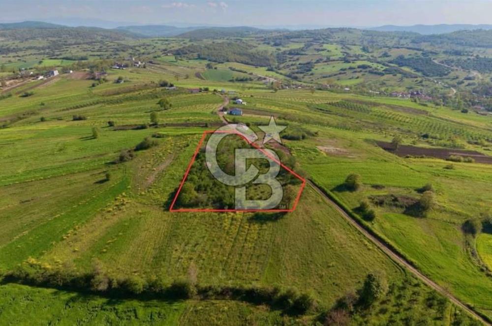KANDIRA ÜĞÜMCEDE KONUM VE ŞEKLİYLE MÜKEMMEL 5838M2 SATILIK TARLA