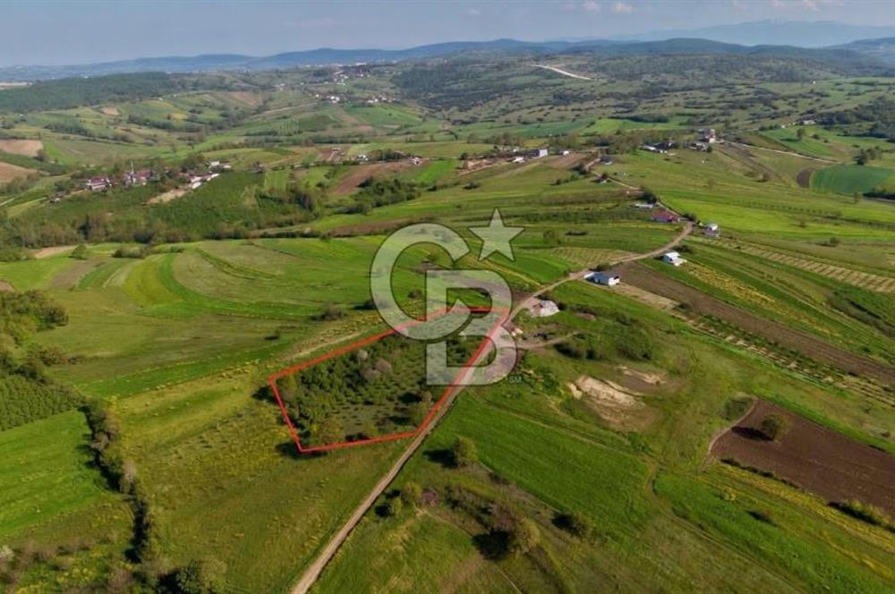 KANDIRA ÜĞÜMCEDE KONUM VE ŞEKLİYLE MÜKEMMEL 5838M2 SATILIK TARLA