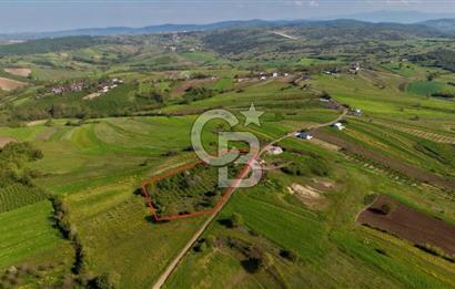 KANDIRA ÜĞÜMCEDE KONUM VE ŞEKLİYLE MÜKEMMEL 5838M2 SATILIK TARLA