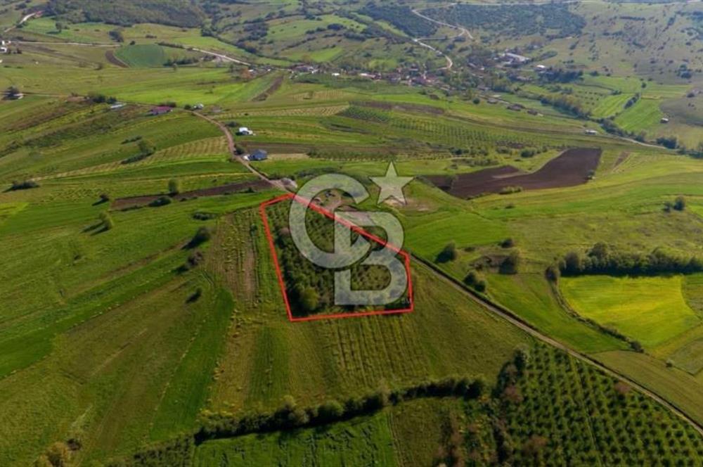 KANDIRA ÜĞÜMCEDE KONUM VE ŞEKLİYLE MÜKEMMEL 5838M2 SATILIK TARLA