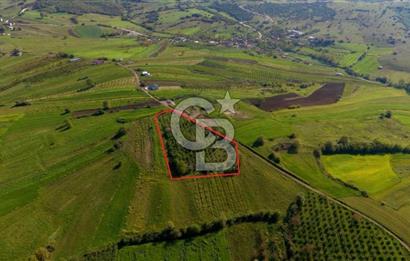 KANDIRA ÜĞÜMCEDE KONUM VE ŞEKLİYLE MÜKEMMEL 5838M2 SATILIK TARLA