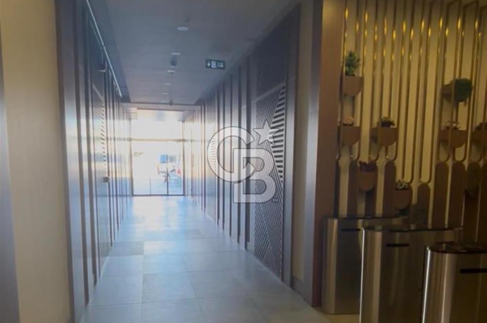 DARICA İSTASYON CADDESİNDE ÇATI PİYESLİ PRESTİJLİ DUBLEKS OFİS