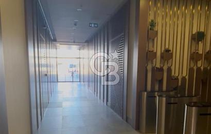DARICA İSTASYON CADDESİNDE ÇATI PİYESLİ PRESTİJLİ DUBLEKS OFİS