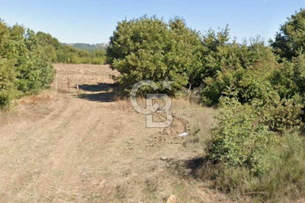 BALIKESİR BALYA ORHANLARDA 3.005 M² FIRSAT SATILIK TARLA