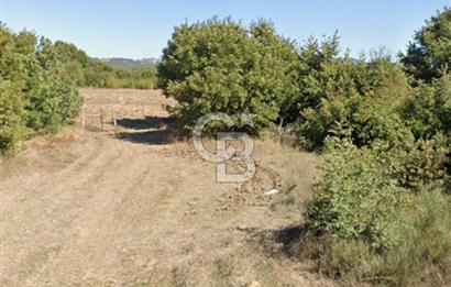 BALIKESİR BALYA ORHANLARDA 3.005 M² FIRSAT SATILIK TARLA
