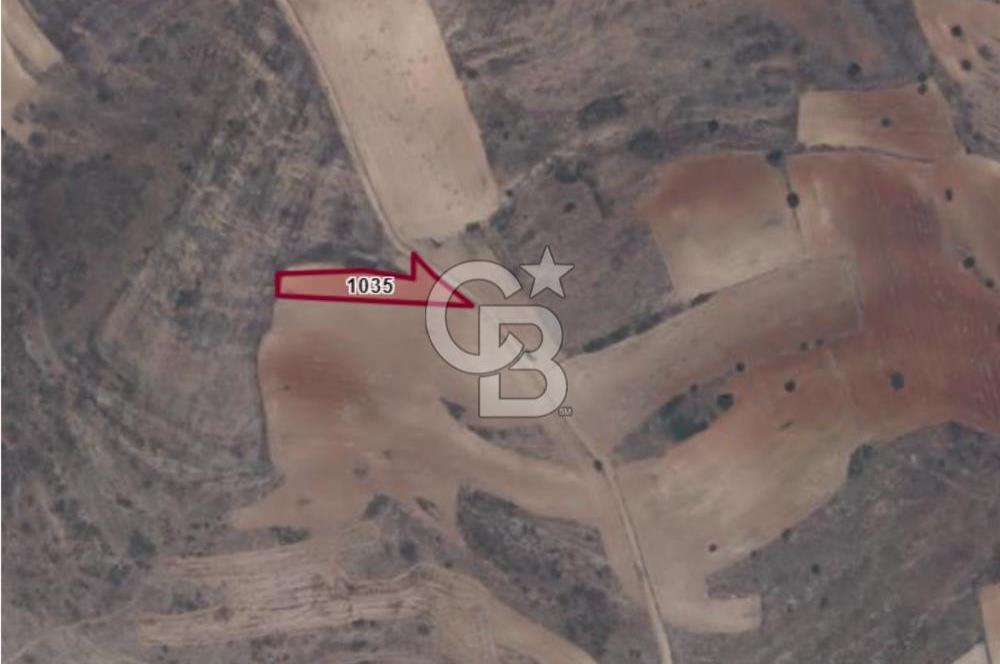 DENİZLİ ÇİVRİL BOZDAĞ'DA 2000 M2 FIRSAT SATILIK TARLA