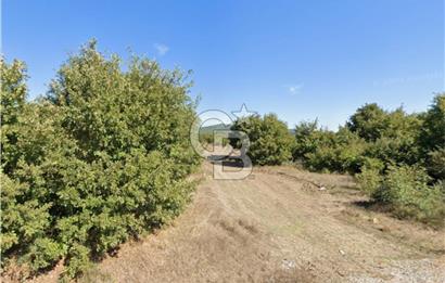 BALIKESİR BALYA ORHANLARDA 3.005 M² FIRSAT SATILIK TARLA