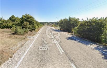 BALIKESİR BALYA DEREKÖY 9520 M2 SATILIK TARLA
